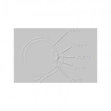 IRIE BrailleTrac 120 Impresora Braille